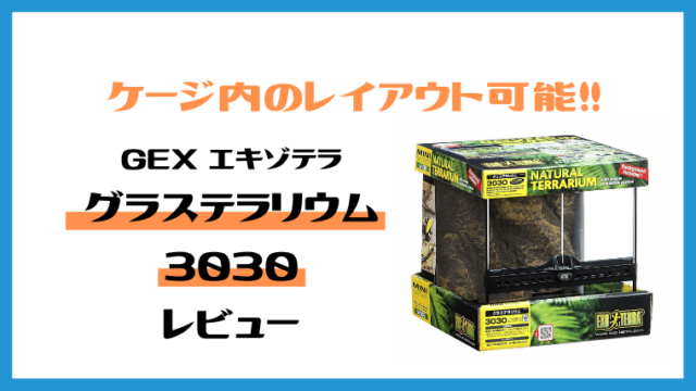 レオパ飼育 Gex エキゾテラ グラステラリウム3030 レビュー レイアウトも可能 レオパと暮らす